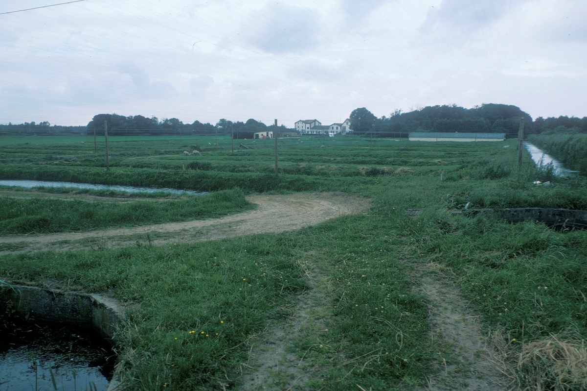 Forsøgsdambruget i Brøns, Danmark, 1978 : Oversiktsbilde, utendørs dambruk.