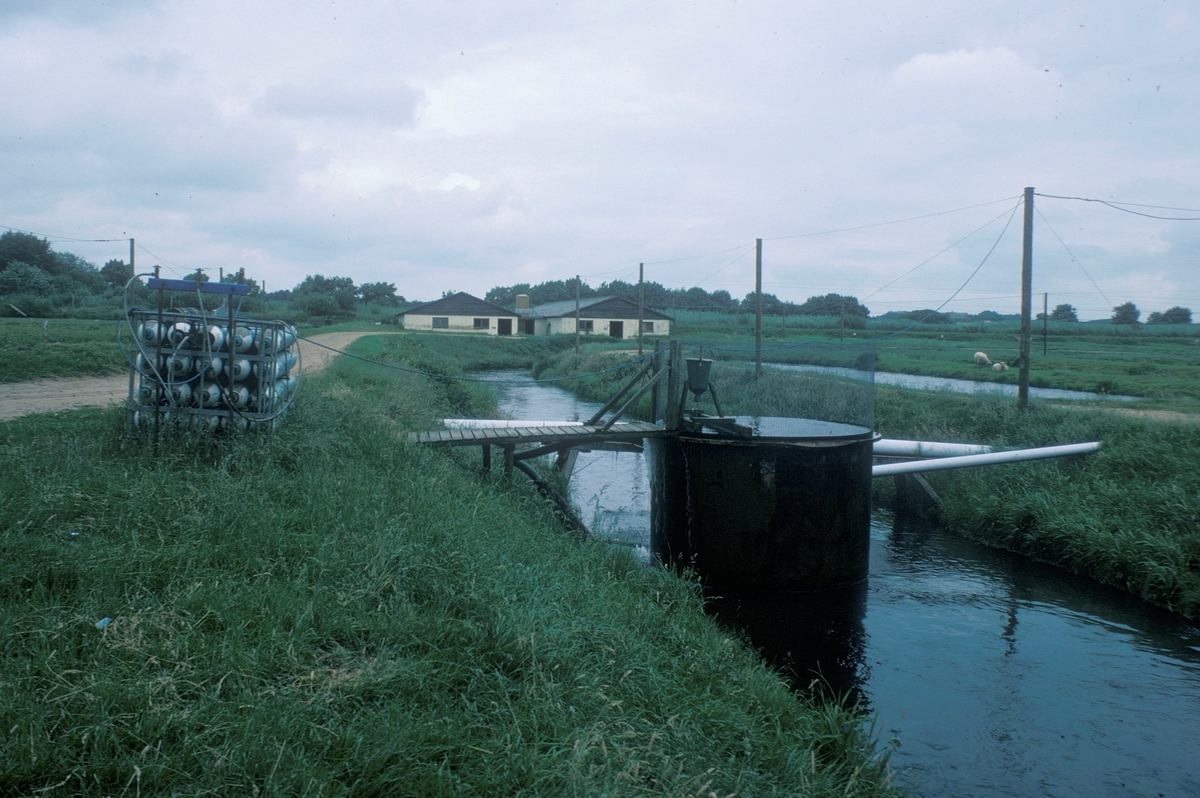Forsøgsdambruget i Brøns, Danmark, 1978 : Oppdrettsanlegg på land, såkalt dambruk.
