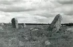 Lundby sn.
Stenar vid gravfältet vid Lötbacken.