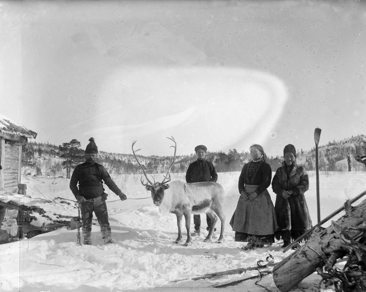 Fra Utstuggugjøldalen. Lars Jonsen til venstre. Til høyre Sigrid Jonsen og Brita Bergli.  Mannen bak reinen er ukjent.