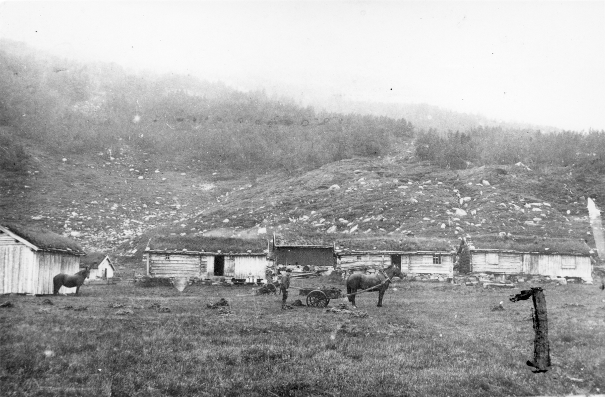 Setrene til Søstuggu-Grindal, Bruholtan og Bågåvoll i Svartådalen.