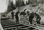 Spårläggning pågår vid en skärning på Trafikaktiebolaget Grängesberg - Oxelösunds Järnvägar, TGOJ:s spår.