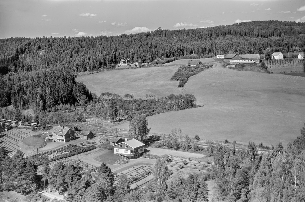 Hamar, flyfoto, Martodden, Strandvegen 197 og 199,  Furuberget gård, Furubergjordet, eindommen Furuheim i skogkanten opp til venstre,