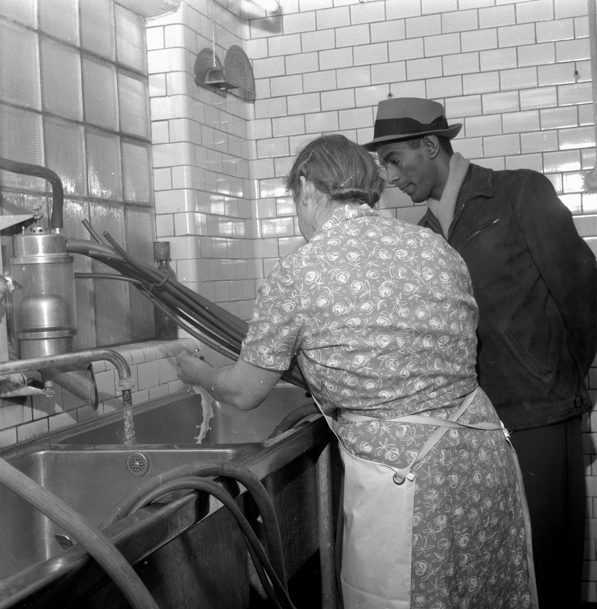 Ny specialmjölk.
13 januari 1959.