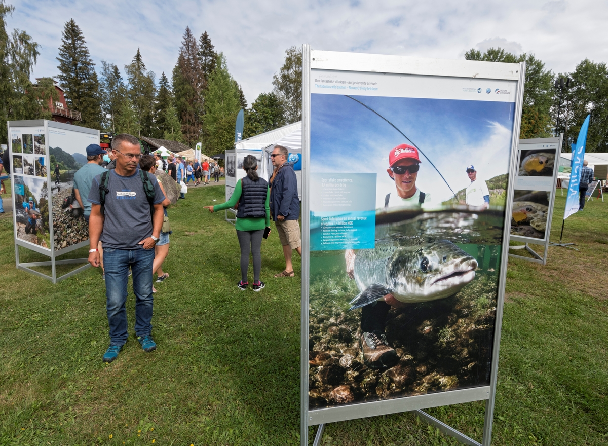 Fotoutstilling i forbindelse med Villaksens år på Jakt- og fisketorget under De nordiske jakt- og fiskedager 2019 på Norsk skogmuseum, Elverum, Hedmark. Omreisende fotoutstilling i regi av Norske Lakseelver og NJFF. Publikum. Besøkende.
De nordiske jakt- og fiskedagene 2019. Jakt- og fiskedagene. Jakt og fiskedagene. Jakt og fiskedager. Arrangement. Arrangementer.