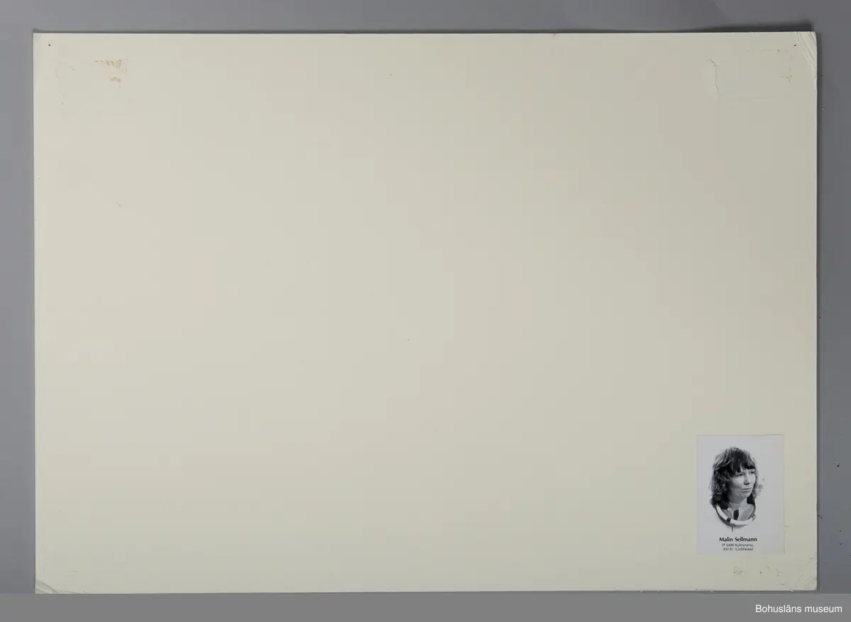 Fotografiskt porträtt Malin Sellman, f. 1943