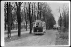 Norrköpings Kommunala Affärsverk, NKA spårvagnar vid någon av Norrköpings promenader.