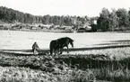 Vallby, Västerås.
Bonde plöjer med häst framför plogen. 1933.