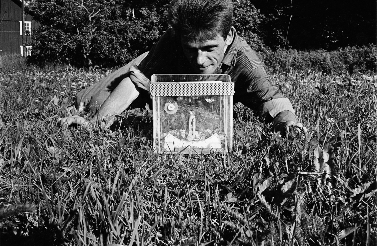 Man ligger i gräset och tittar på en transparent låda, Uppland, 1965