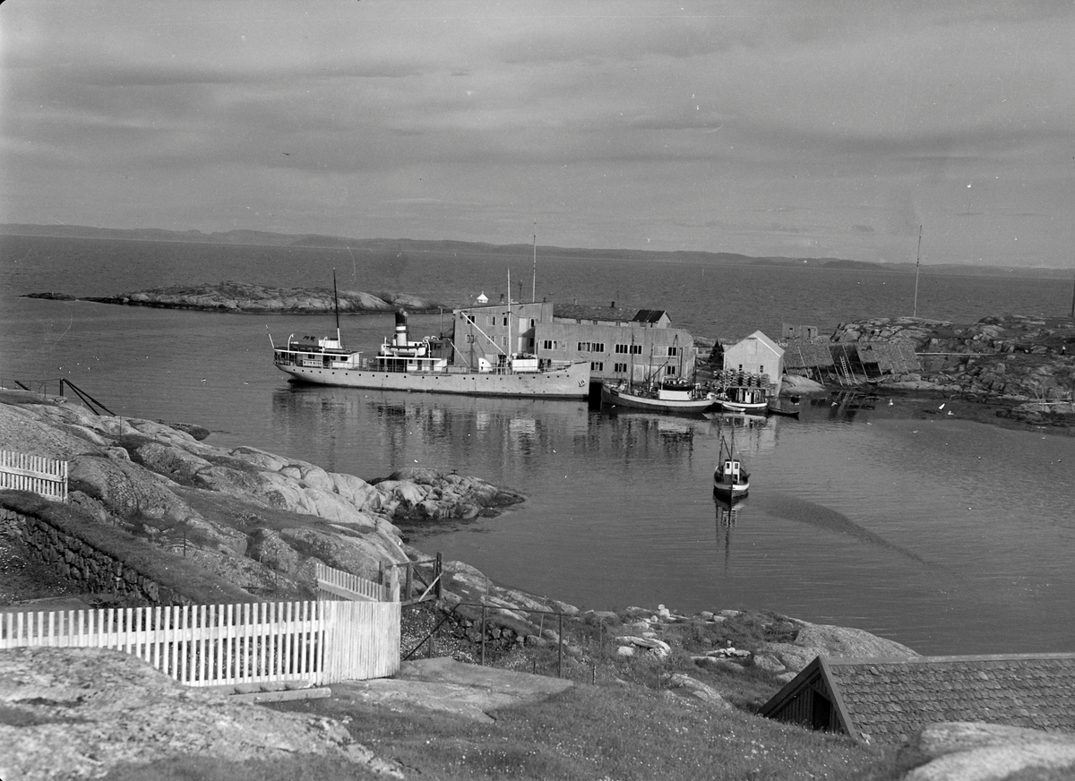 Parti fra Halten