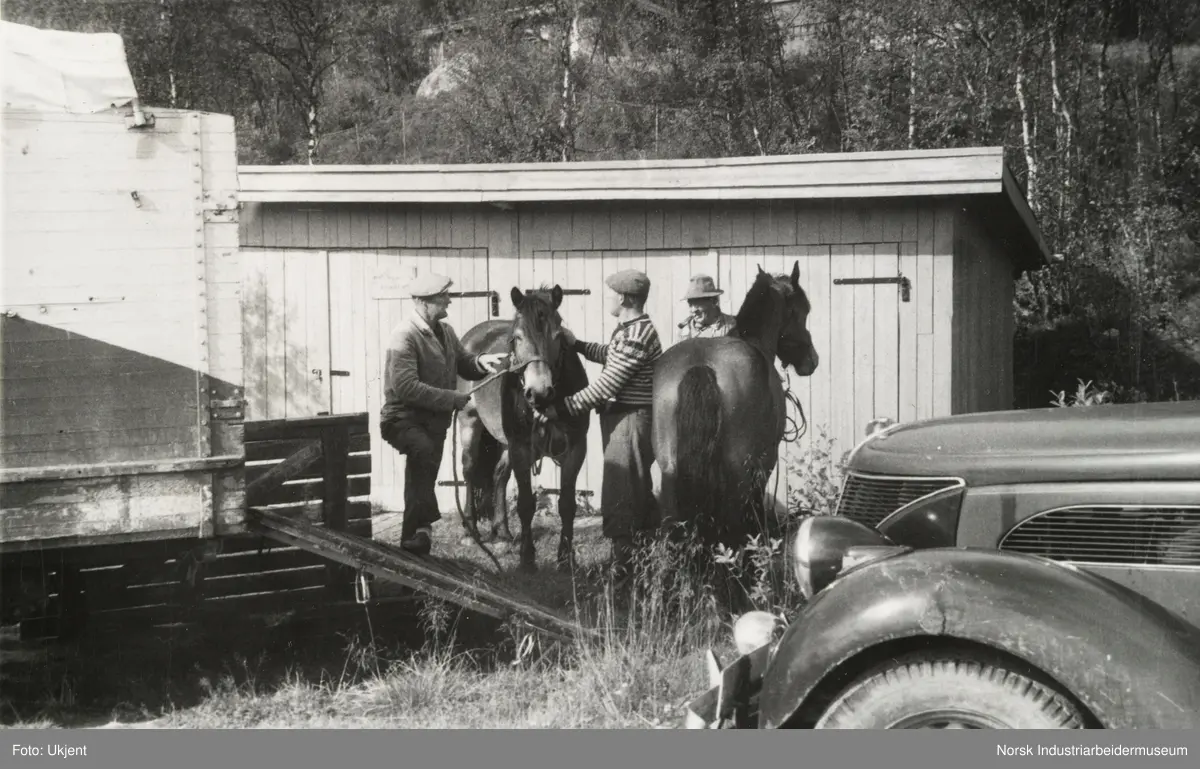Menn laster hest på hestehenger. Hjemtransport etter hesteslepp på Sundet, Møsstrond sommeren 1963