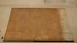 Hällristningar på Backa egor i Brastads socken [Avteckning]