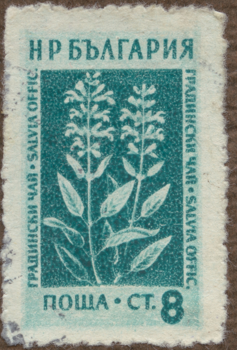 Frimärke ur Gösta Bodmans filatelistiska motivsamling, påbörjad 1950.
Frimärke från Bulgarien, 1953. Motiv av medicinalväxt: Salvia Officinalis.