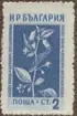 Frimärke ur Gösta Bodmans filatelistiska motivsamling, påbörjad 1950.
Frimärke från Bulgarien, 1953. Motiv av medicinalväxter: Atropa Belladonna.