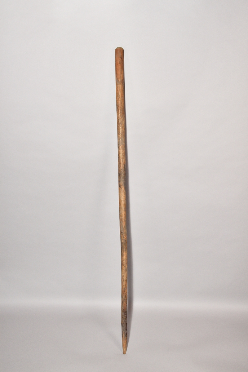 Talgspett, tre stycken, av granpinnar, avbarkade, tillspetsade i ena ändan.