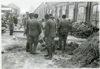 Arbetsbilder från båtfyndet i Gamla hamnen i Västerås, 1935.
Män i krimmermössor och kepsar.