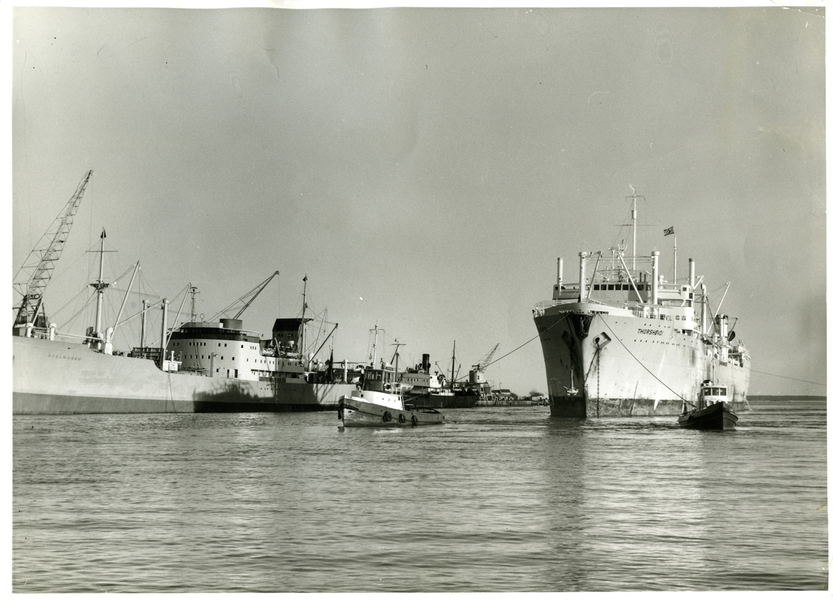 "Thorshøvdi", hvalkokeri, bygd 1948, som det siste hvalkokeri bygd ved Burmaister & Wain, København, Danmark, for norsk hvalfangst..
Glomma,
Østerelva,
Øra.
