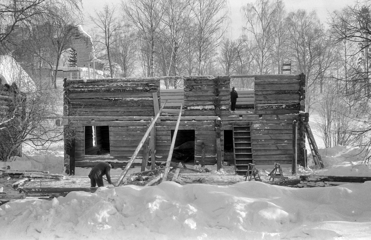 Grimsrudbygningen fra Helgøya restaureres på Hedmarksmuseet. Museumshåndverkere i arbeid. Utskifting av tømmer. 