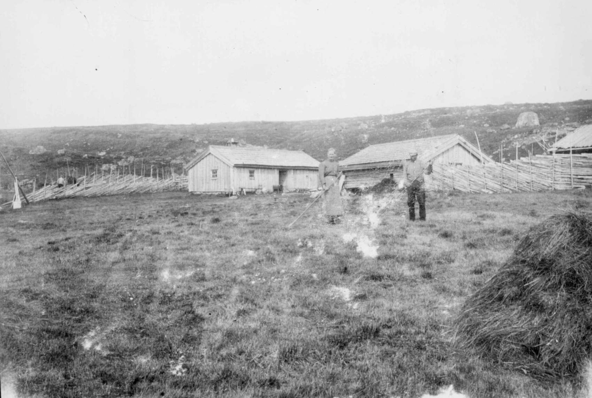 Repro: Seterslått, mann og kvinne raker høy.