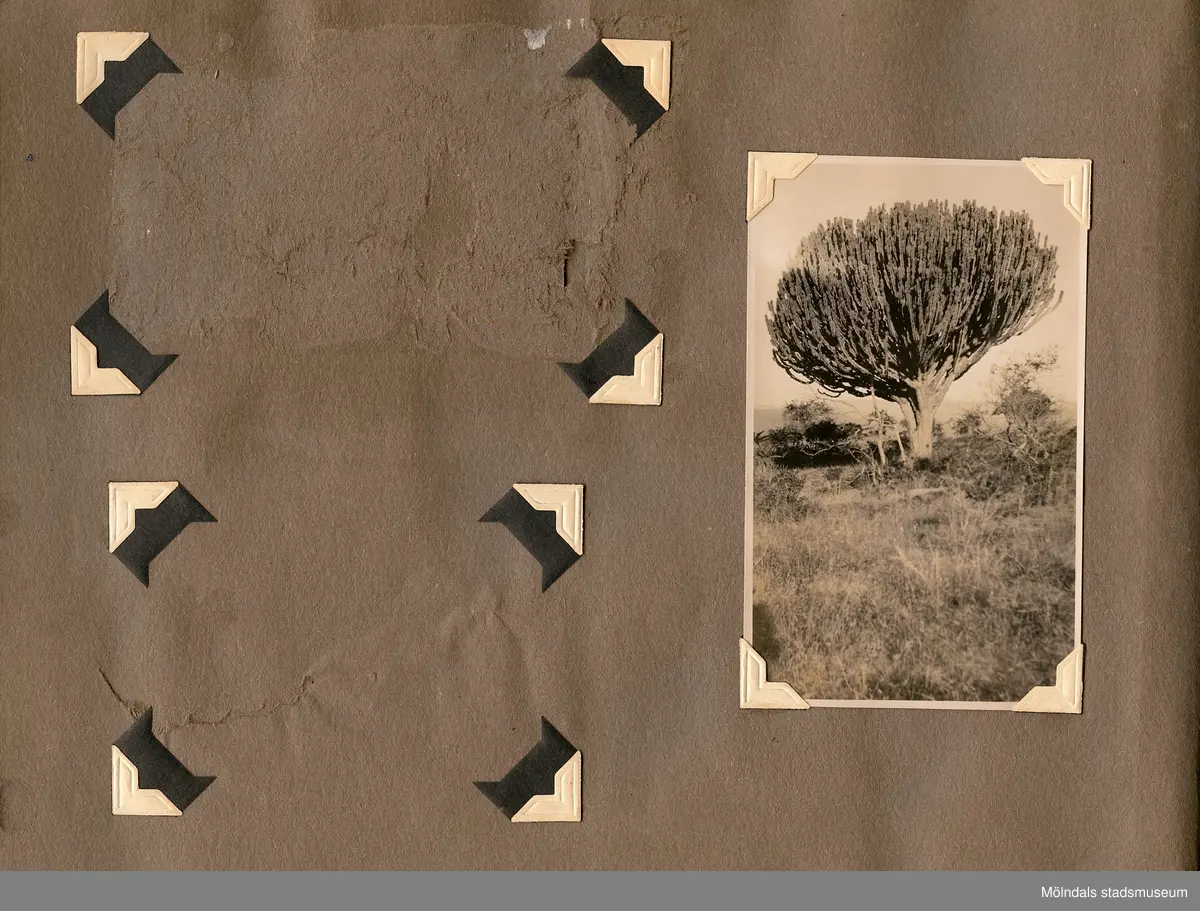 Fotografialbum som tillhört missionären Helga Andreasson. Albumet börjar med bilder från Roodeport 1932.

Helga Andreasson växte upp i Mölndal och efter avslutad skolgång utbildade hon sig till sjuksköterska och diakonissa vid Bräcke diakonianstalt. År 1931 reste hon ut till Zululand i Sydafrika och arbetade där som missionär för Svenska Kyrkans Mission. I närmare 40 år kom Helga Andreasson att arbeta i Sydafrika med kyrka och mission. 

Givaren Lilly Nygren är syster till Helga Andreasson, som var äldsta systern i en barnskara av sex.
Foton, diabilder, böcker mm. efter Helga Andreasson finns förvarade i Föreningsarkivet i Mölndal.