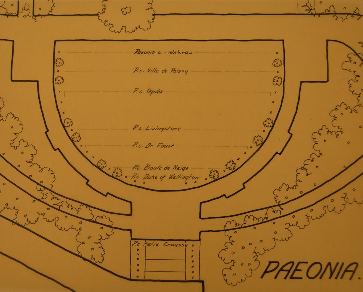 Beplantningsplan fra 1930. Foto: MiA.