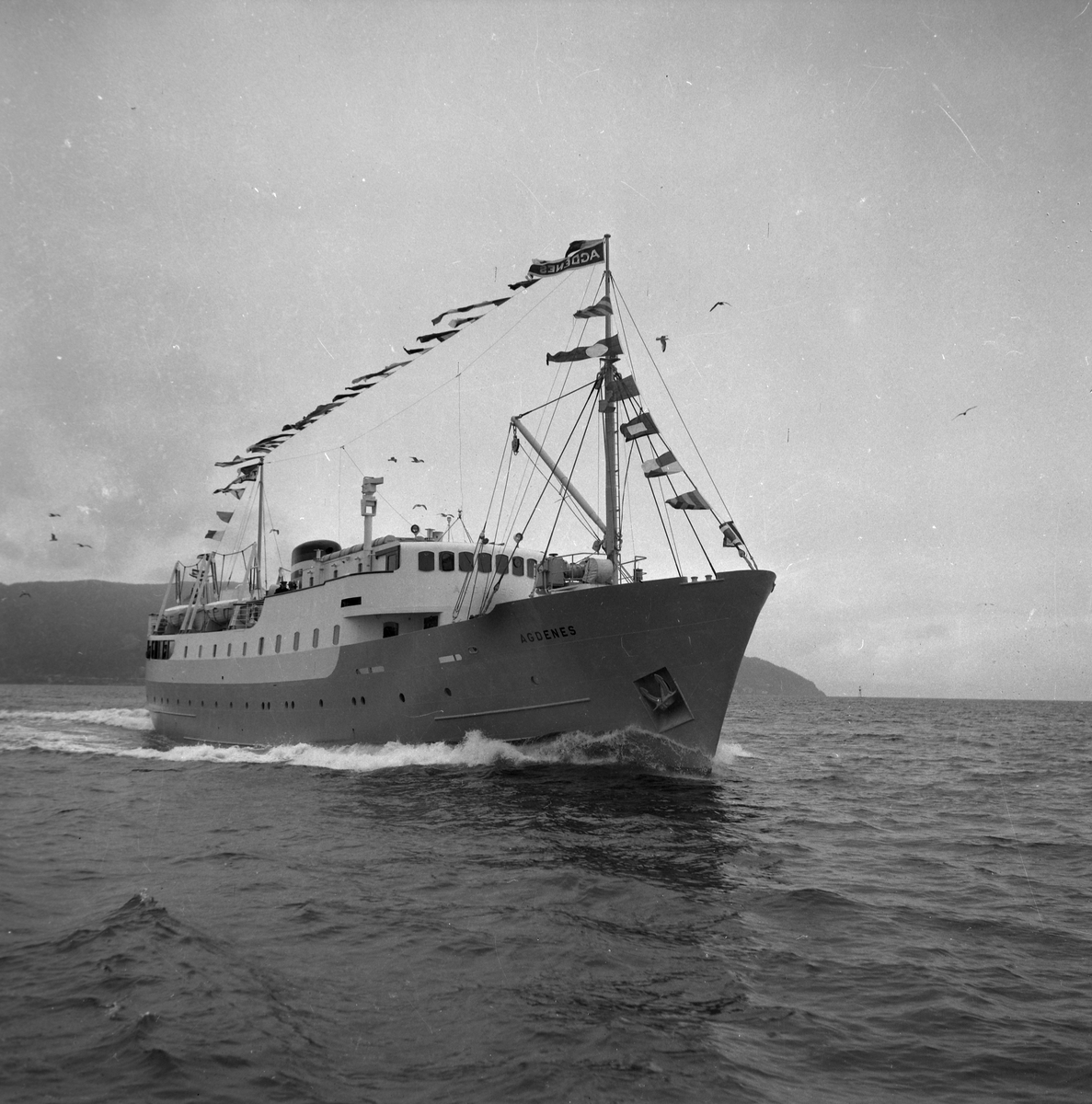 M/S Agdenes på Trondheimsfjorden