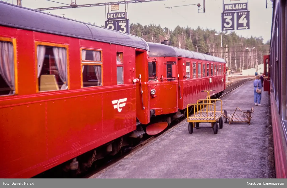 Dieselmotorvognene BM 86 20 og BM 86 26 på Nelaug stasjon