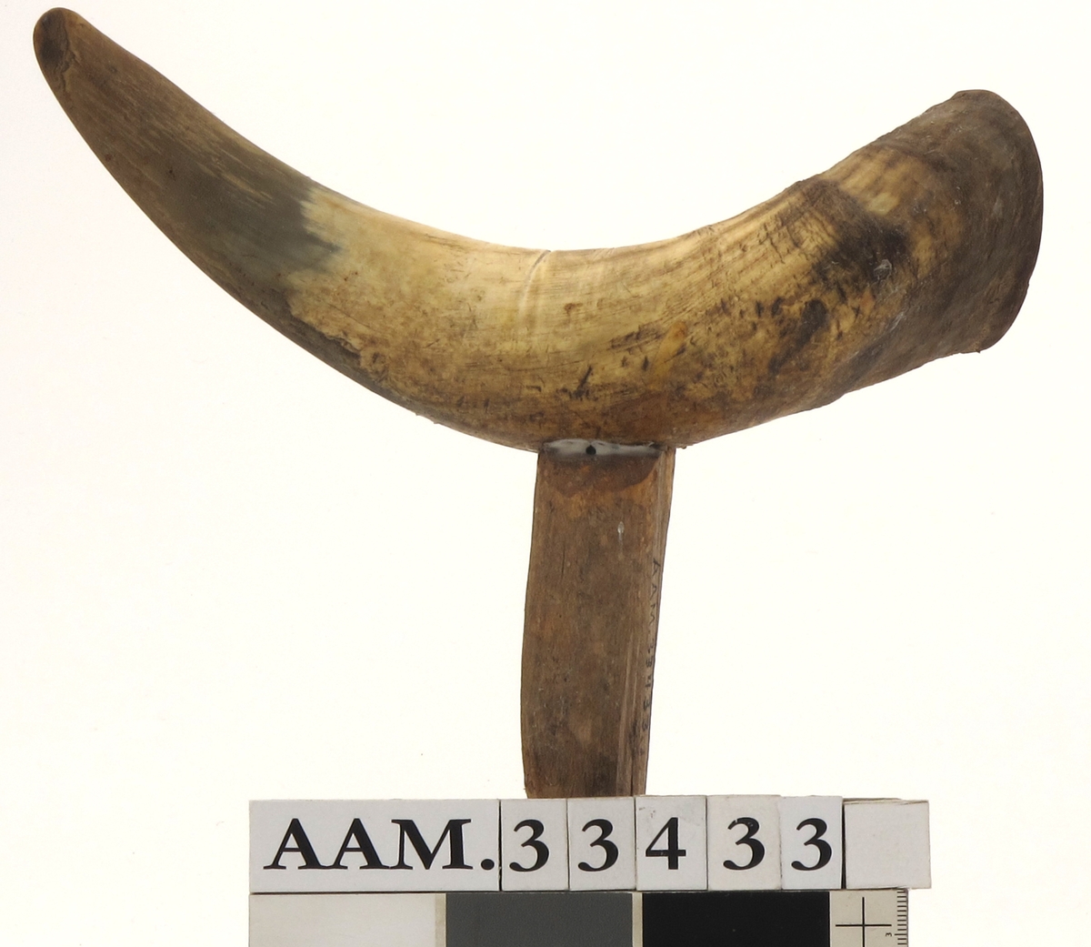 Horn tettet med kork i åpen ende, innfelt pinne for feste i båtripa.