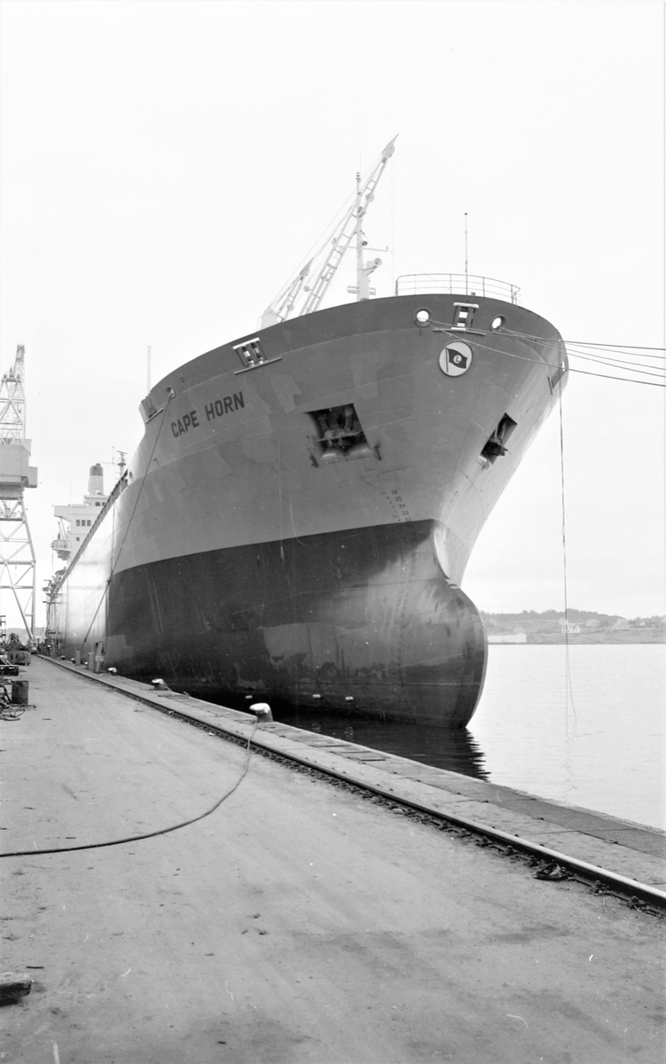 Portrett. M/S Cape Horn ved kai på H.M.V. En folkemenge samlet for å se på skipsdåpen. Taler og overrekkelse av blomster etc. Musikk-korps til stede. Foto fra feiringen på kvelden i etterkant av dåpen. Foto fra Haraldshallen der folk bader. Bestilt av H.M.V.