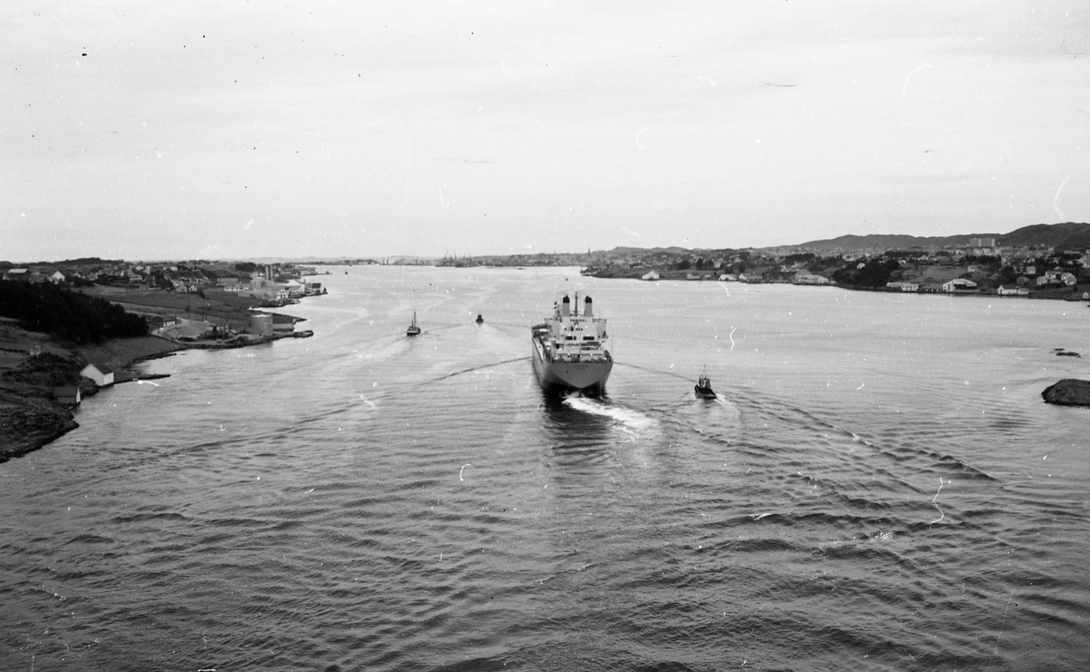 Portrett. M/S Cape Horn ved kai på H.M.V. En folkemenge samlet for å se på skipsdåpen. Taler og overrekkelse av blomster etc. Musikk-korps til stede. Foto fra feiringen på kvelden i etterkant av dåpen. Foto fra Haraldshallen der folk bader. Bestilt av H.M.V.