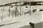 Vinterlandskap, fotografi tagit i samband med vinterövningar för elever på Krigsskolan Karlberg, troligen i Åre.