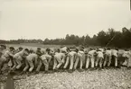 Elever från Krigsskolan Karlberg bygger pontonbro över vattendrag.