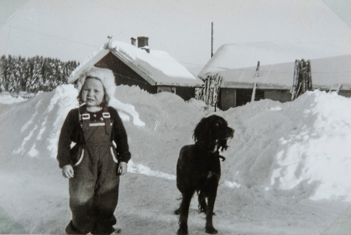 Jente, hund, vinter. snø. Dorthea Norsted og Donny på Liva, Løten