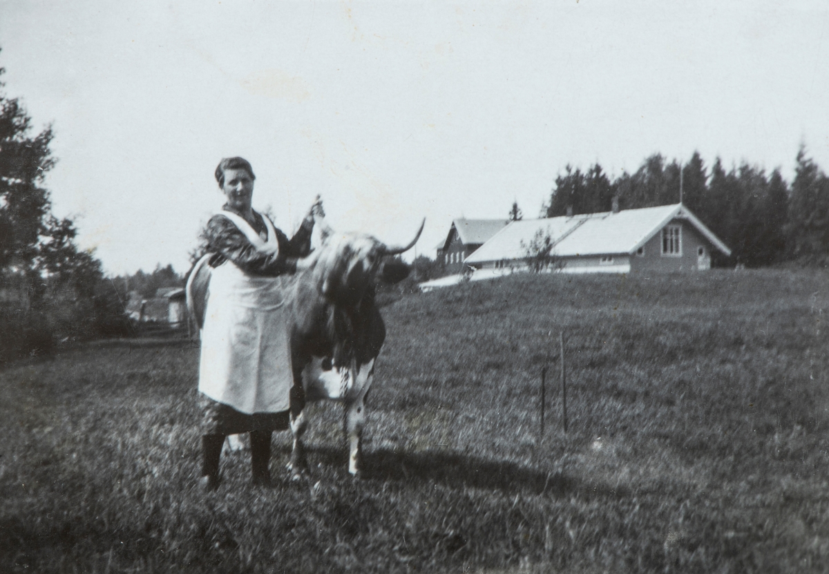 Olea Hansen med kua Fagerlin. Olea hadde butikken Hansens Landhandel ved Rokosjøn, Løten.