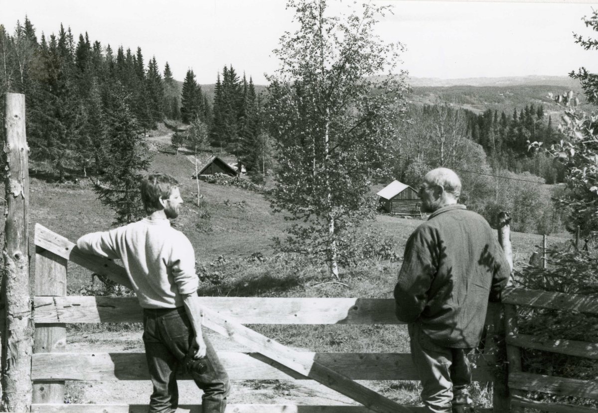 Hausaker, Nordsinni
