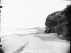 Vy över strand och klippor vid Öregrund, Uppland 1890-tal