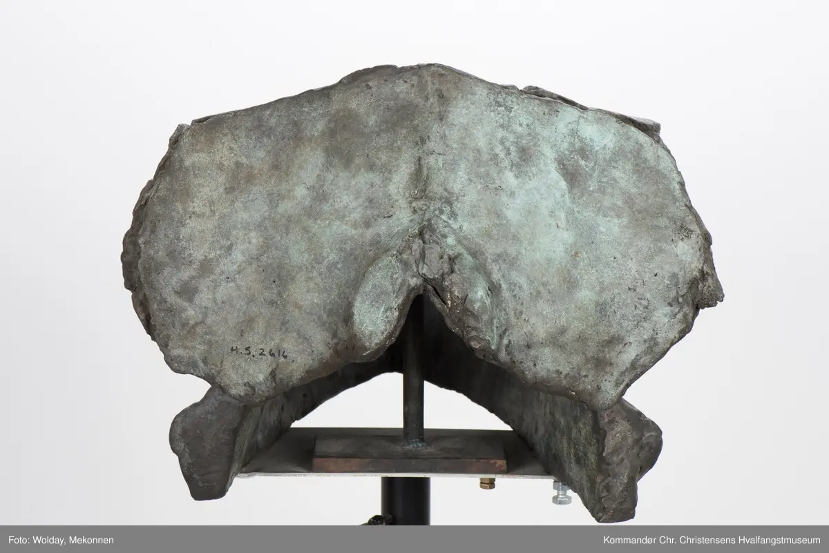 Hvalkranium  - spekkhogger "Skalle II". Skulptur på søyle.