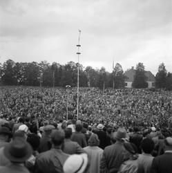 Motiv: (ingen anteckning) ;
En folksamling vid midsommarfira