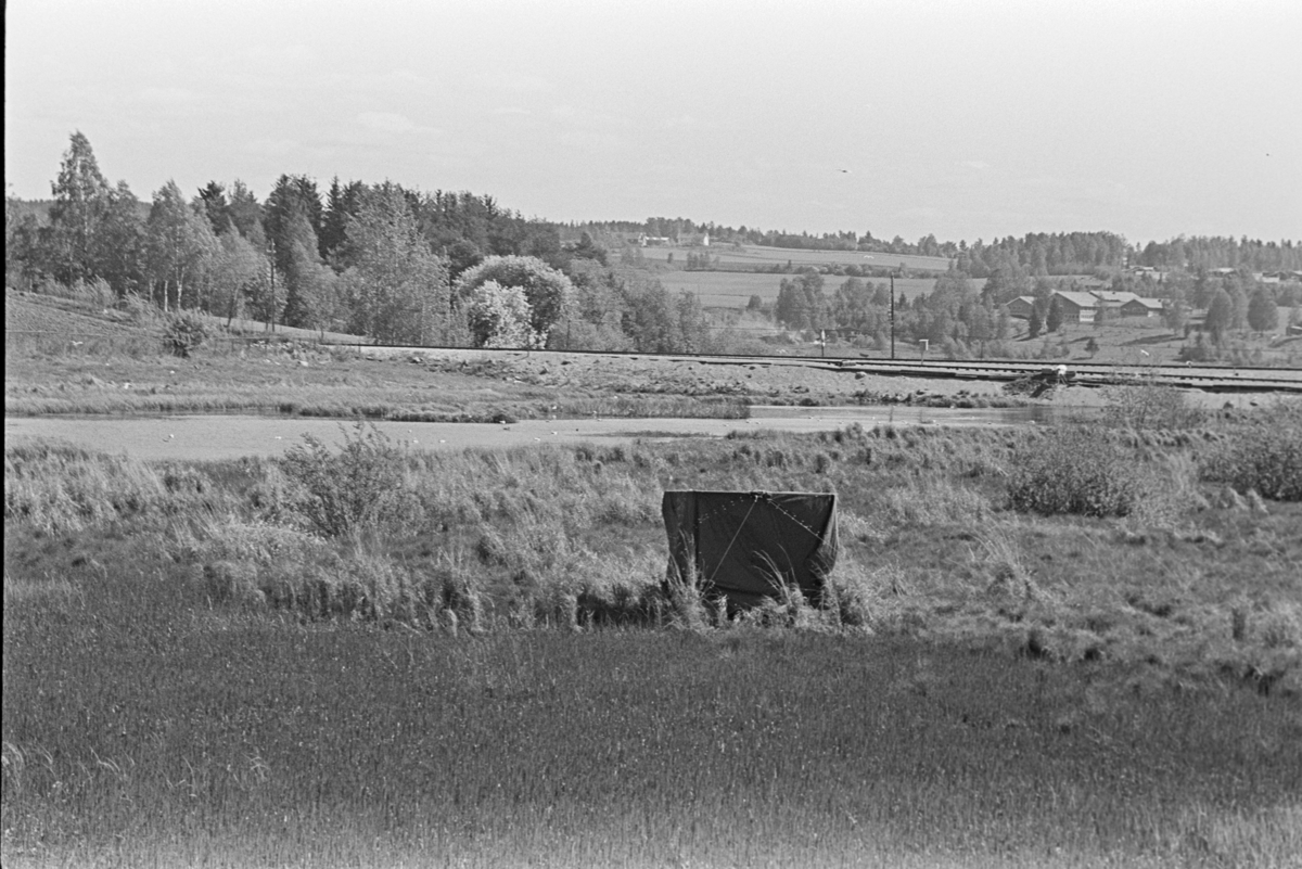 Åkersvika, Åker gård, landskap.