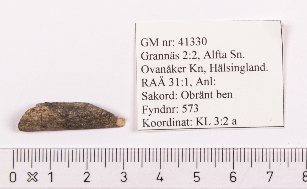 Ben från fågel.