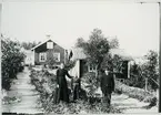 Möklinta sn, Sala.
Man, kvinna och flicka i trädgården utanför bostaden. Början av 1900-talet.