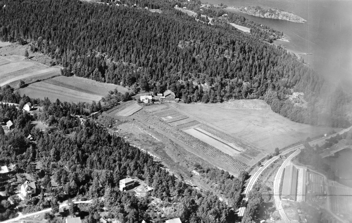 Flyfotoarkiv fra Fjellanger Widerøe AS, fra Porsgrunn Kommune, Nedre Lunde Gård. Fotografert 30/07-1951. Fotograf Otto Hansen