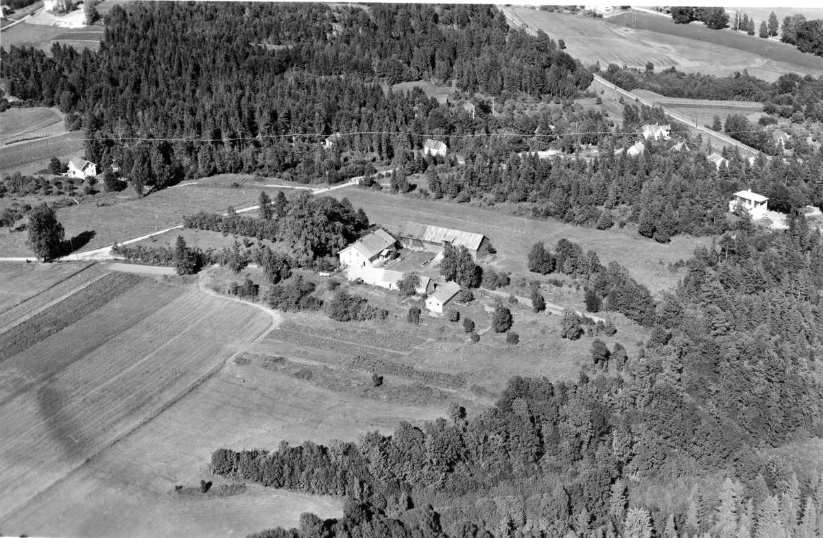 Flyfotoarkiv fra Fjellanger Widerøe AS, fra Porsgrunn Kommune, Tveten Gård. Fotografert 30/07-1951. Fotograf Otto Hansen