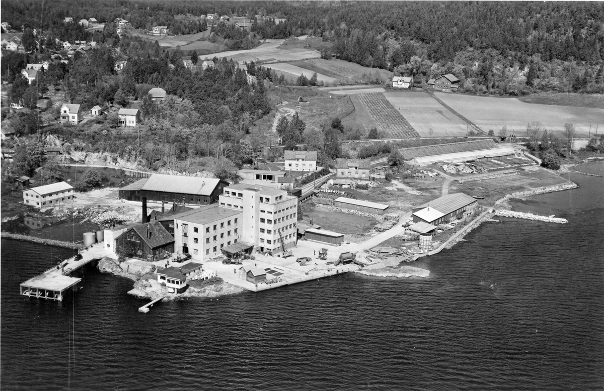 Flyfotoarkiv fra Fjellanger Widerøe AS, fra Porsgrunn Kommune, Heistad Fabrikker A/S, Brevik. Fotografert. 30.05.1951 Kl 10.55 av Vilhelm Skappel