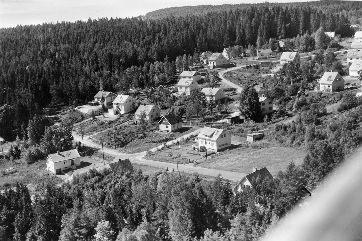 Flyfotoarkiv fra Fjellanger Widerøe AS, fra Porsgrunn Kommune. Løvsjø Heistad. Fotografert 08.08.1959. Fotograf J Kruse