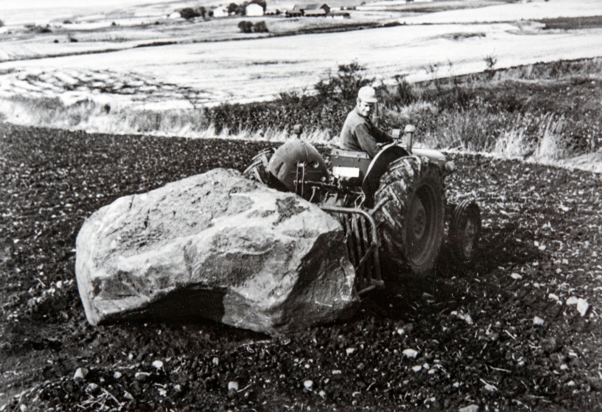 Odd Hjermstad (f:1925-d:1997) svansing av stein på Hjermstad Gård. Stange. 86/1. Stensvans, gråtass, steinplukking.