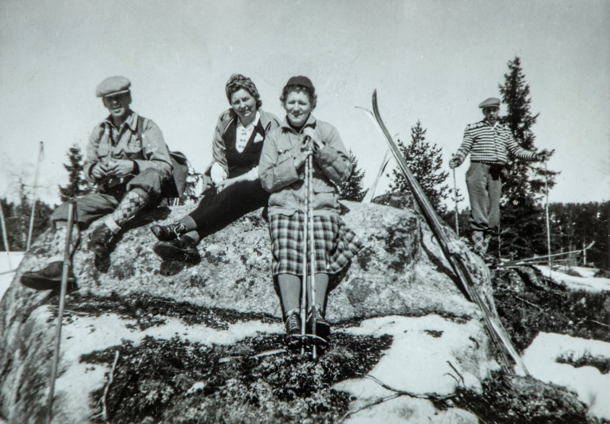 Petra, Arild, Sigrid og Kåre Dagfinrud på skitur i Romedal almeningen.