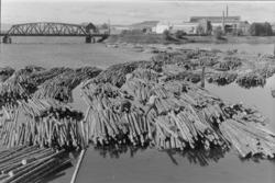Tømmersleping, Åkersvika, Mjøsa, Hamar. Tømmeret bindes samm