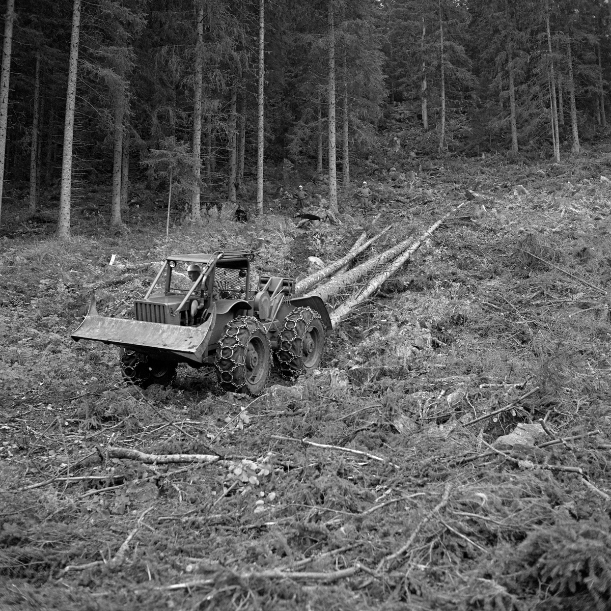 Rammestyrt traktor av fabrikatet Timberjack, fotografert under lunning av «helstammer» i Treschow-Fritzøes skoger sommeren 1965. Denne typen traktorer ble utviklet av Wesley Maggill og Robert Simons i den lille byen Brentford i den canadiske delstaten Ontario i 1950-åra. Timberjack-traktoren hadde kraftig motor, firehjulsdrift og bakmontert vinsj. Rammestyringa gav den fantastiske forutsetninger for å ta seg fram på hogstflater med vanskelig topografi, hvor den på grunn av betydelig tyngde satte djupe spor. Timberjack-traktorens smidighet og styrke muliggjorde en helt ny måte å organisere skogsarbeidet på. Skogsarbeiderne felte trærne og kvistet dem ved stubben, der den rammestyrte traktoren hentet dem og trakk dem i snarekjettinger til en terminalplass ved bilveg, hvor stokkene ofte ble barket og kappet maskinelt før tømmeret ble overført til lastebiler og kjørt til industrien. I 1960-åra forutsatte et slikt driftssystem tunge tekniske investeringer som få av aktørene i det norske gardsskogbruket kunne antas å ha økonomisk evne til å realisere. Forstmannen og ingeniøren Ivar Samset, som var en sentral skikkelse i det driftstekniske forskningsmiljøet i norsk skogbruk, fikk imidlertid overtalt ledelsen i to sentrale norske selskapsskoger, Meraker Brug i Trøndelag og Fritzøe Skoger i Vestfold, Telemark og Buskerud, til å kjøpe hver sin rammestyrte traktor. Driftsteknikerne i fagmiljøet Norsk institutt for skogforskning studerte disse maskinene i aktivitet på de nevnte skogeiendommene i åra som fulgte.