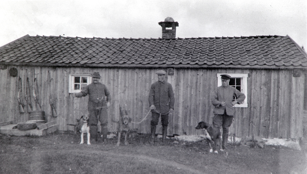 LAGERÅKVISLA SETER TIL PALERUD GÅRD, GRUPPE: 3 MENN MED JAKTHUNDER, GEVÆR PÅ VEGGEN, FRA VENSTRE: ELIAS PALERUD, NILS LØVLIEN, OLE PALERUD